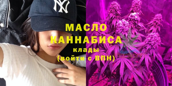 твердый Мегион