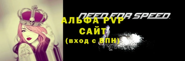 твердый Мегион