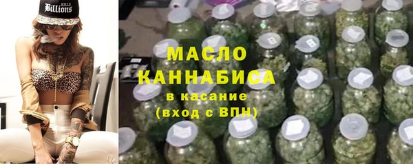 твердый Мегион