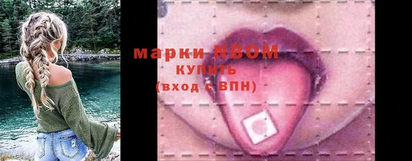 твердый Медногорск