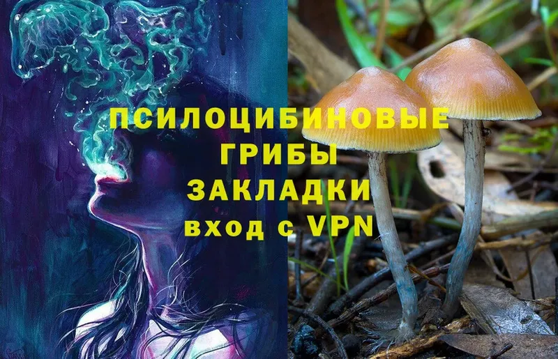 Галлюциногенные грибы Cubensis  купить наркоту  Полтавская 